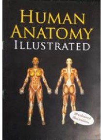 Human Anatomy Illustrated