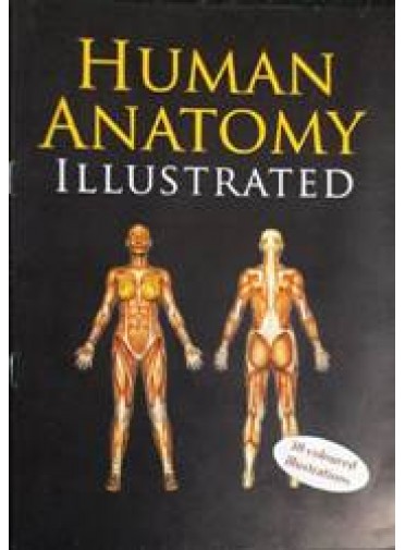 Human Anatomy Illustrated